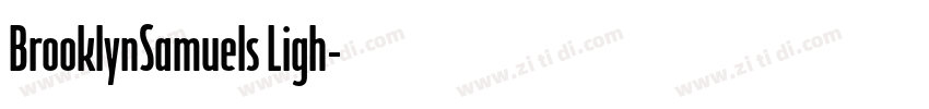 BrooklynSamuels Ligh字体转换 BrooklynSamuels Ligh字体转换